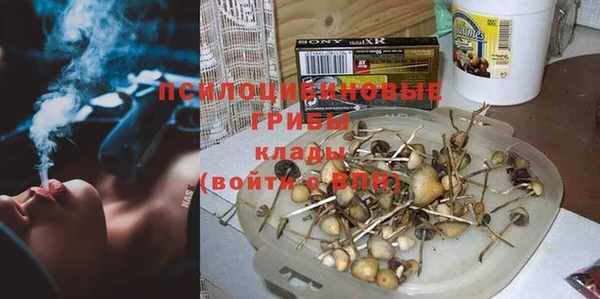стафф Алзамай