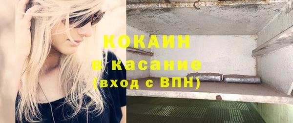 стафф Алзамай