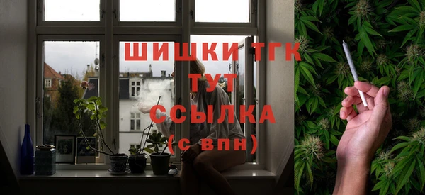 гашик Алексеевка
