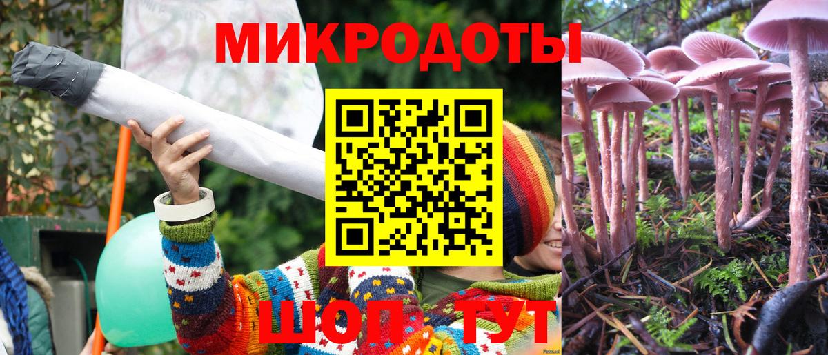 Галлюциногенные грибы Cubensis Людиново