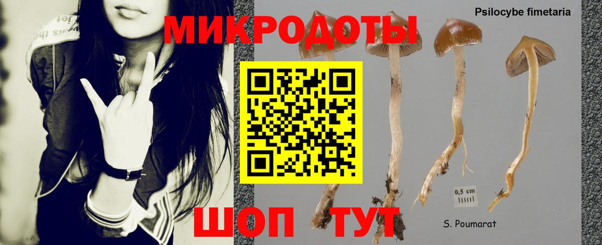 Людиново  Псилоцибиновые грибы Psilocybe  Вход с VPN 